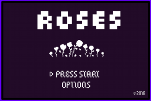 8 Bit Roses: A Vintage Font for Modern Campaigns