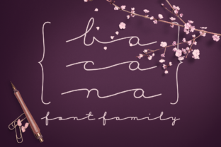 Bacana: A Bold Display Font for Web Design