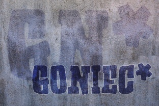 Goniec Font: Bold & Unique