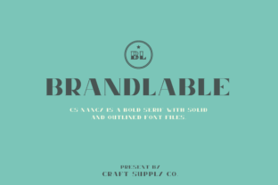 Nancy: A Stylish Display Font for Crafters