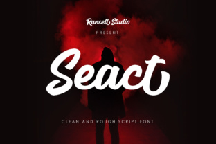 Seact: A Bold, Beautiful Display Font